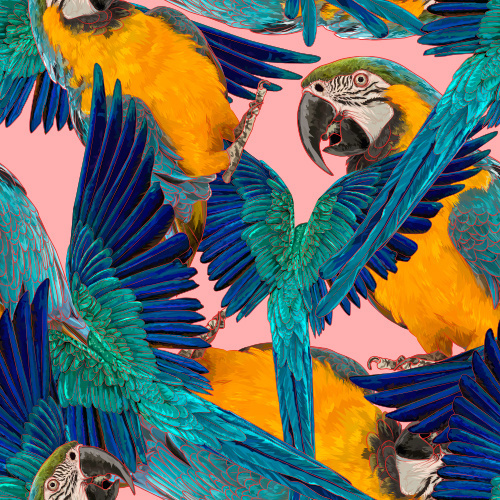Ara pattern #pattern #tropical #poland #ukraine #parrot