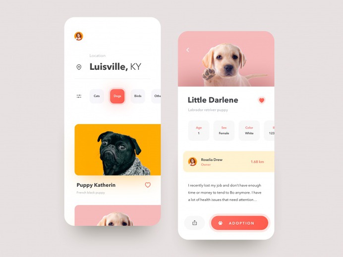 Pets Adoption by Anton Mikhaltsov