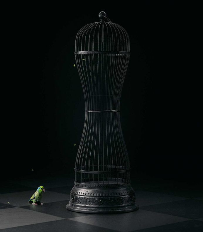 Free Bird: Creative Photo Manipulations by Mike Campau