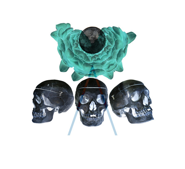 Playing with Spikes #roses #skulls #magic #blue #dark #moon