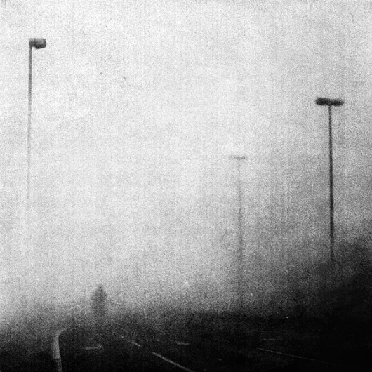 This Life Is Not Ending, photography by Thymournia #road #tree