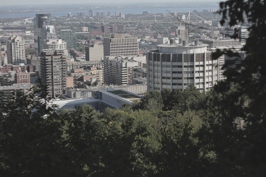 Rob Quinn Photography #daydream #montreal #photography #summer #mcgill
