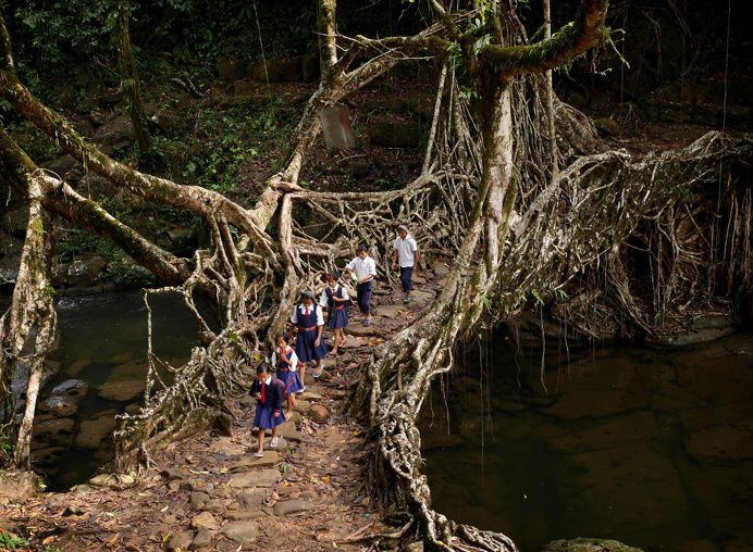 #photo Amos Chapple #bridge #nature #place