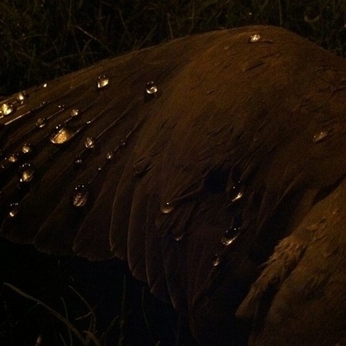 joshuamurphy.com — Taken with instagram #photo