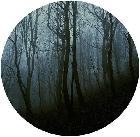 FFFFOUND! | Laura Bell - BOOOOOOOM! - CREATE * INSPIRE * COMMUNITY * ART * DESIGN * MUSIC * FILM * PHOTO * PROJECTS #circle #forest