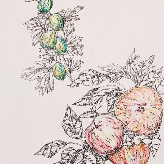 Yuko Sugimoto - Freelance Graphic Designer -Logo, Print, Web, Packaging to Window Display #illustration #dot #hand drawing #fruits