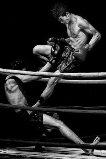 gummi #photographic #boxe