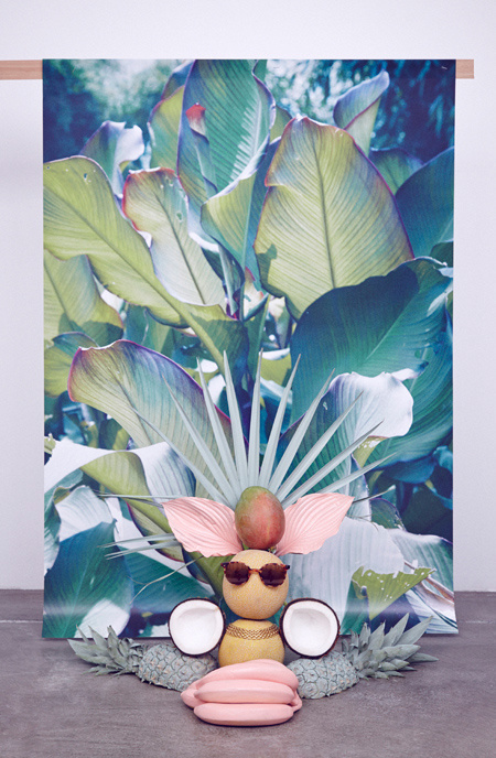 tropical