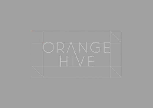 Orange Hive #logo #guide