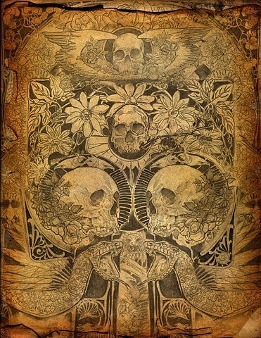 Ian Walsh Design #snake #illustration #skull