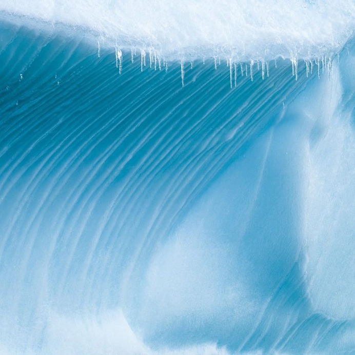 Spectacular Wildlife and Underwater Photography by Justin Hofman