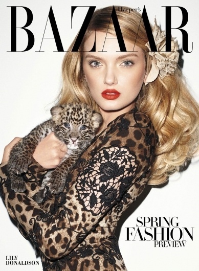 Google Image Result for http://www.designscene.net/wp-content/uploads/2010/12/Lily-Donaldson-by-Terry-Richardson-for-Harpers-Bazaar-01.jpg #leopard #bazaar