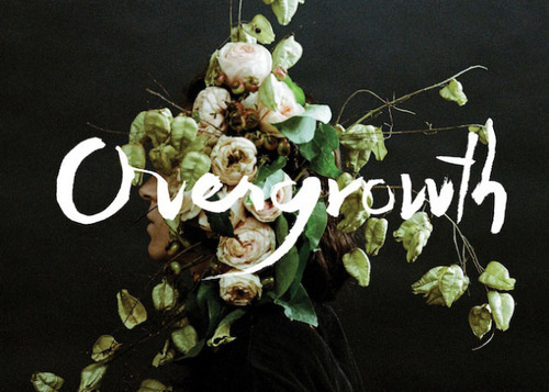 Overgrowth #photography #typography