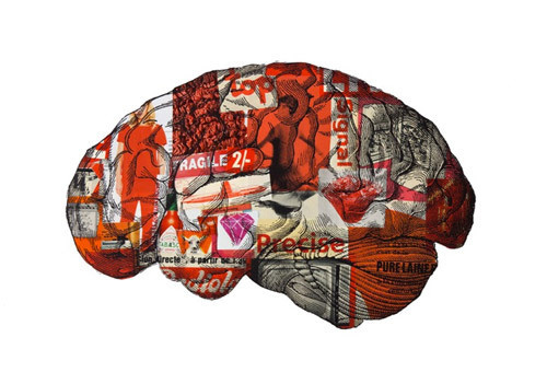 Google Image Result for http://www.immortalitymedicine.tv/wp-content/plugins/wp-o-matic/cache/cfac2_Printed_Matter_Tyrone_Dalby.jpg #brain
