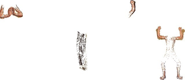 Skate 2 - Animated GIF by Scorpion Dagger - James Kerr #skateboarding #gif