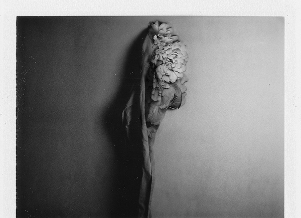 photo #polaroid