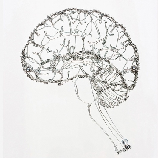 Wire Anatomy | Colossal #sculpture #handmade #brain #wire