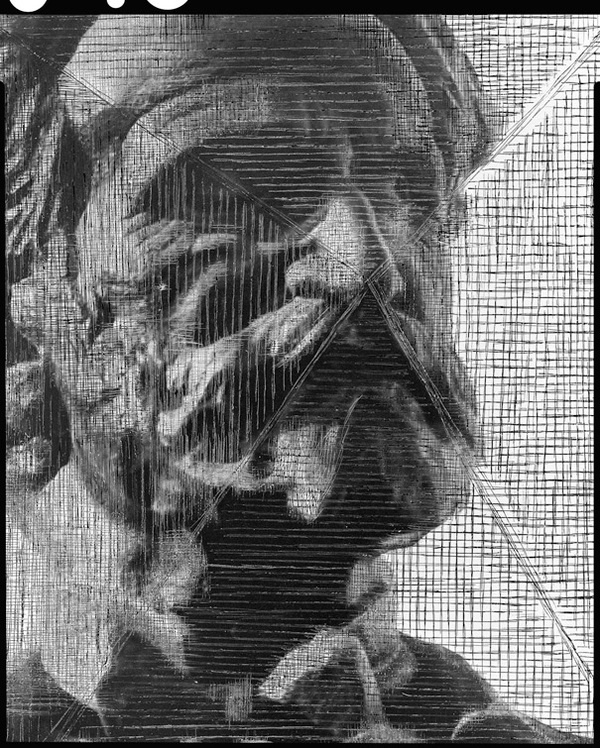 Celestino - Gallo, Scintille #arts #photography