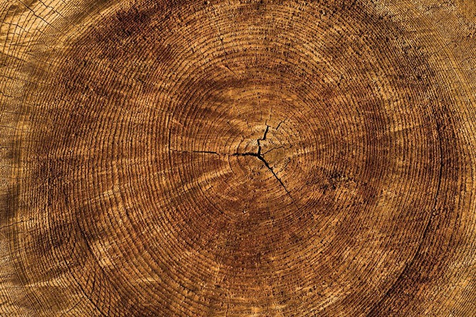 wood