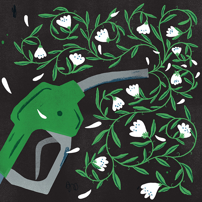 illustration
