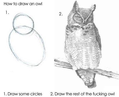 How to draw an owl (Pic) | Daily Dawdle #drawing #owl