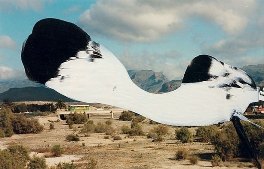 Form is all we have to help us cope with fundamentally chaotic facts... - but does it float #photography
