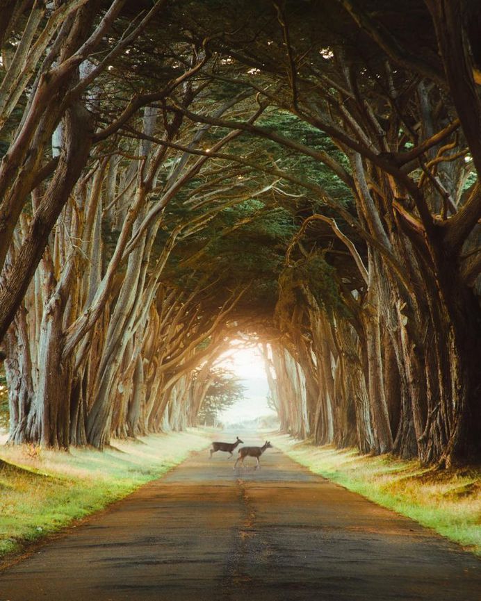 Dreamful Wanderlust: Adventure Photography by Karl 'Shakur' Ndieli
