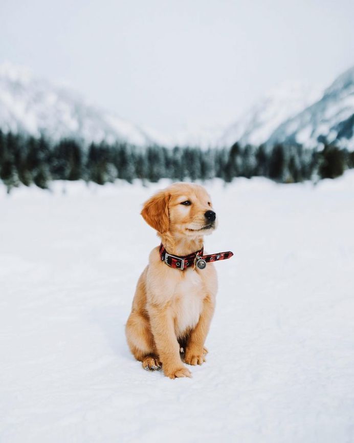 Stunning Adventure Photography by Cameron Anderson