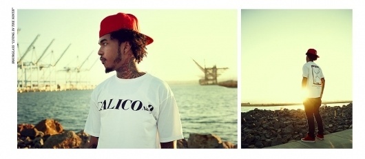 Calico No.9 ® #calico #swag #lookbook #no #calico9 #fashion #long #beach #style