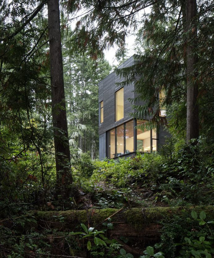 Little House | Black Cabin by MW Works