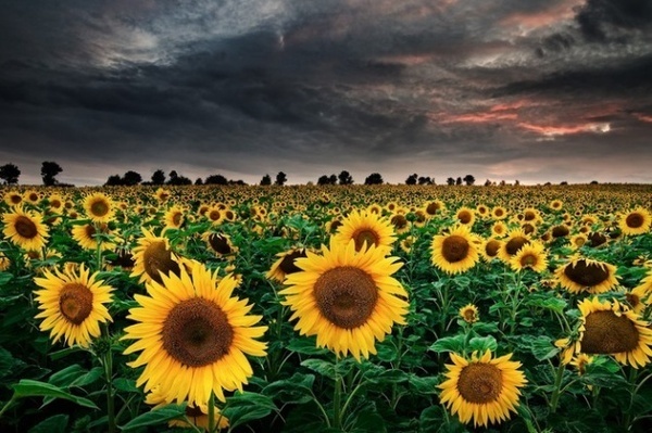 Photographer Michael Breitung #inspiration #nature #photography #landscape