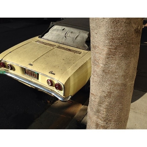 Instagram of Sam Bebbington #inspration #photography #art
