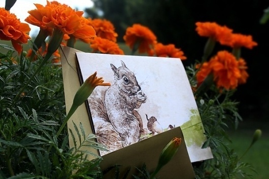 Snail's Pace Red Squirrel Illustration - Note Card #pace #squirrel #snais #stationery #paper