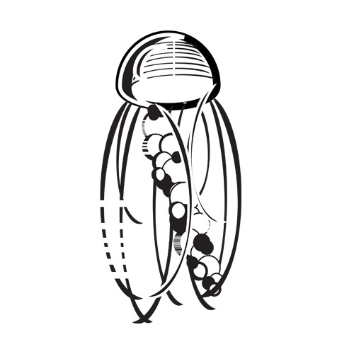 animal_trans_metz.jpg (500×500) #white #icon #design #graphic #shapes #black #fish #tool #pen #and #layout #jelly #typography