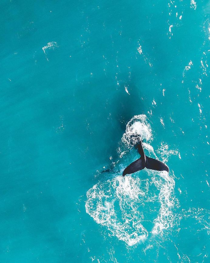 Australia From Above: Stunning Drone Photography by Amber Cree