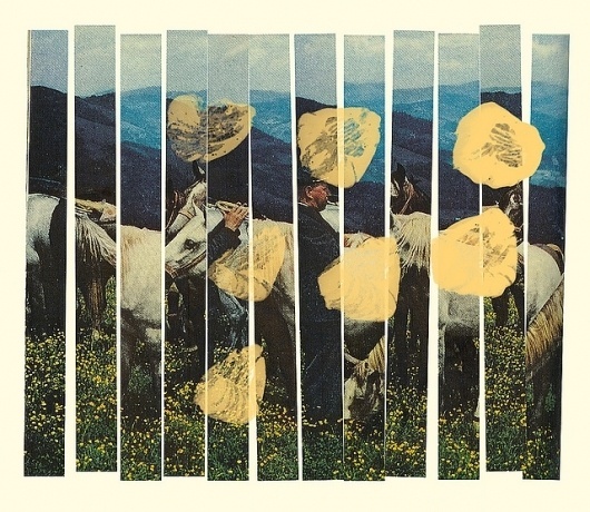 Narcissus | Flickr - Photo Sharing! #collage