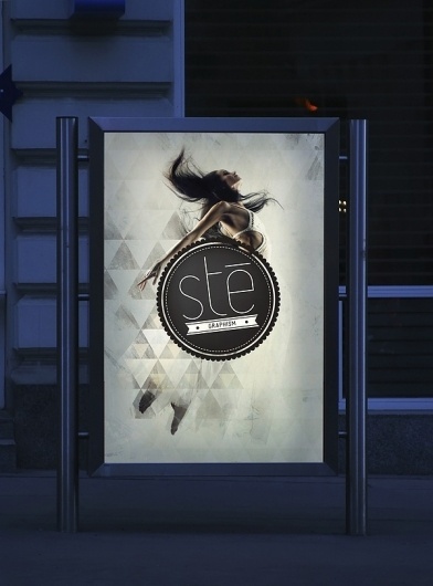 PERSONAL WORK on the Behance Network #stegraphism #poster #by