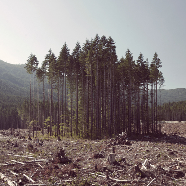 Clearcut Island #photography