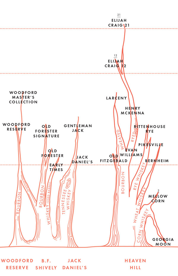 Chart: The Family Tree of Bourbon Whiskey #infographics #illustration #design #whisky