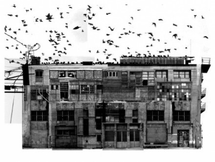 Tundra Blog | The blog of Studio Tundra. Creative inspiration mixed with the everyday. #illustration #photography