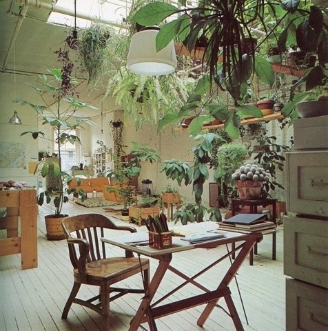 FFFFOUND! | OLD CHUM #plants