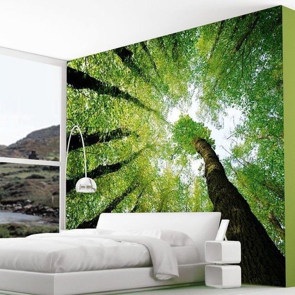 Enchanted Forest Dreams Wall Mural #decal #sticker #wall #gadget