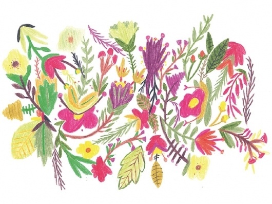 BOSQUE Estudio/Taller La Rebelión de las Masas - #illustration #pattern #flowers