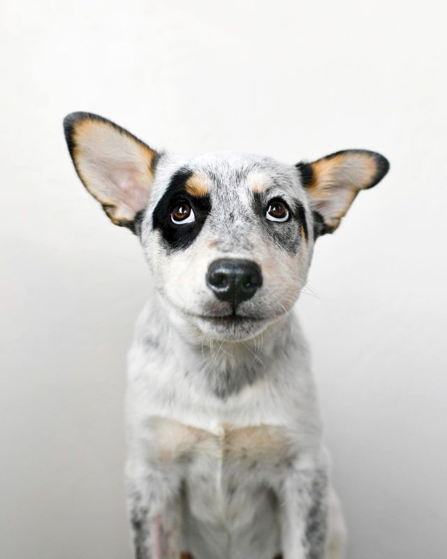 Harlowandsage