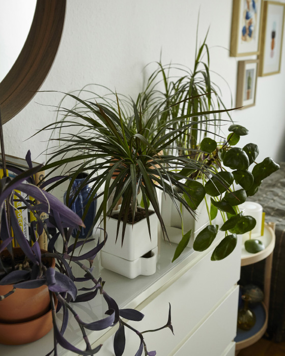 Home furnishing with plants @ Igor's on www.happyinteriorblog.com