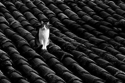 Black and White Photography by Antonio Perrone | Professional Photography Blog #photography #white #black #and