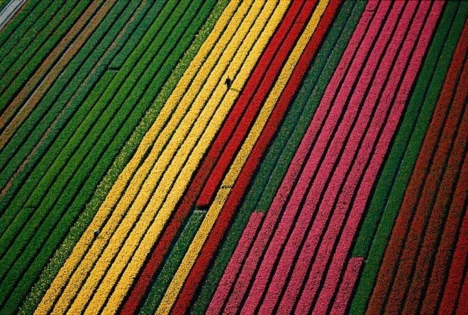 Aerial Photography by Yann Arthus-Bertrand #photography #aerial #landscape