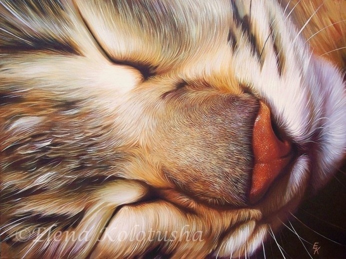 Asleep by Elena Kolotusha | {medium} | Animals #nose #feline #cat #whiskers #sleep #illustration #painting #art #animal