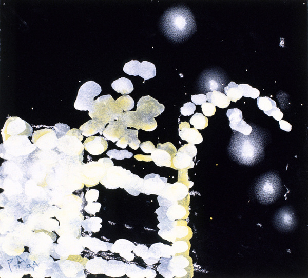 Peppermill Diamonds, 1994, Gouache and Pastel on Paper, 11 x 12 #white #and #black #peter #alexander #painting #art