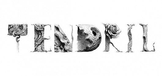 Tendril Blog #tendril #typeface #typography